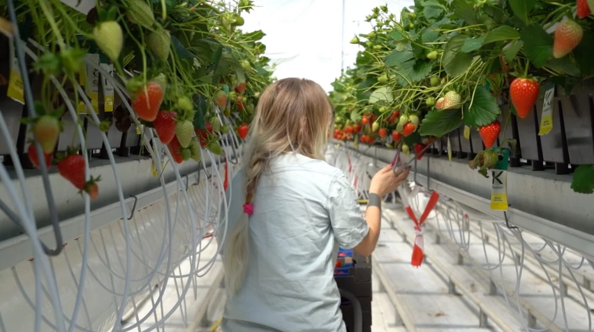 Image credit: Hudson River Biotechnology