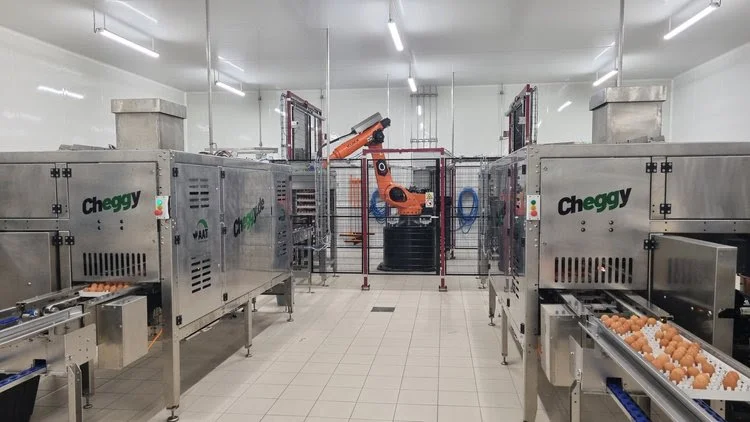 AAT's Cheggy in ovo sexing hyperspectral imaging tech is now in use at Hy-Line North America's Iowa hatchery and a second location in Texas. Image credit: AAT