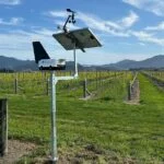 BioScout Secures Funding to Enhance Fungal Pathogen Detection for Farmers