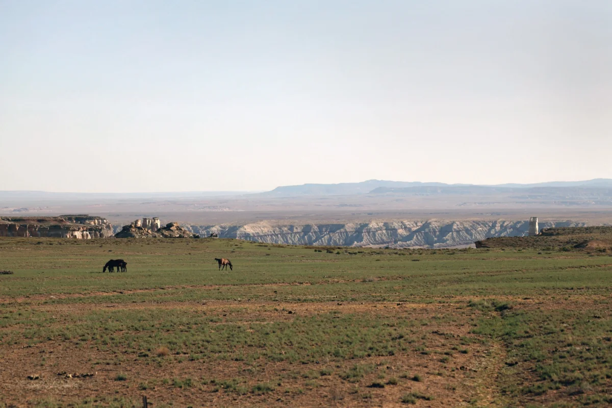Coalmine Canyon Chapter House sits in an area that is predominantly used for grazing by horses and other livestock.