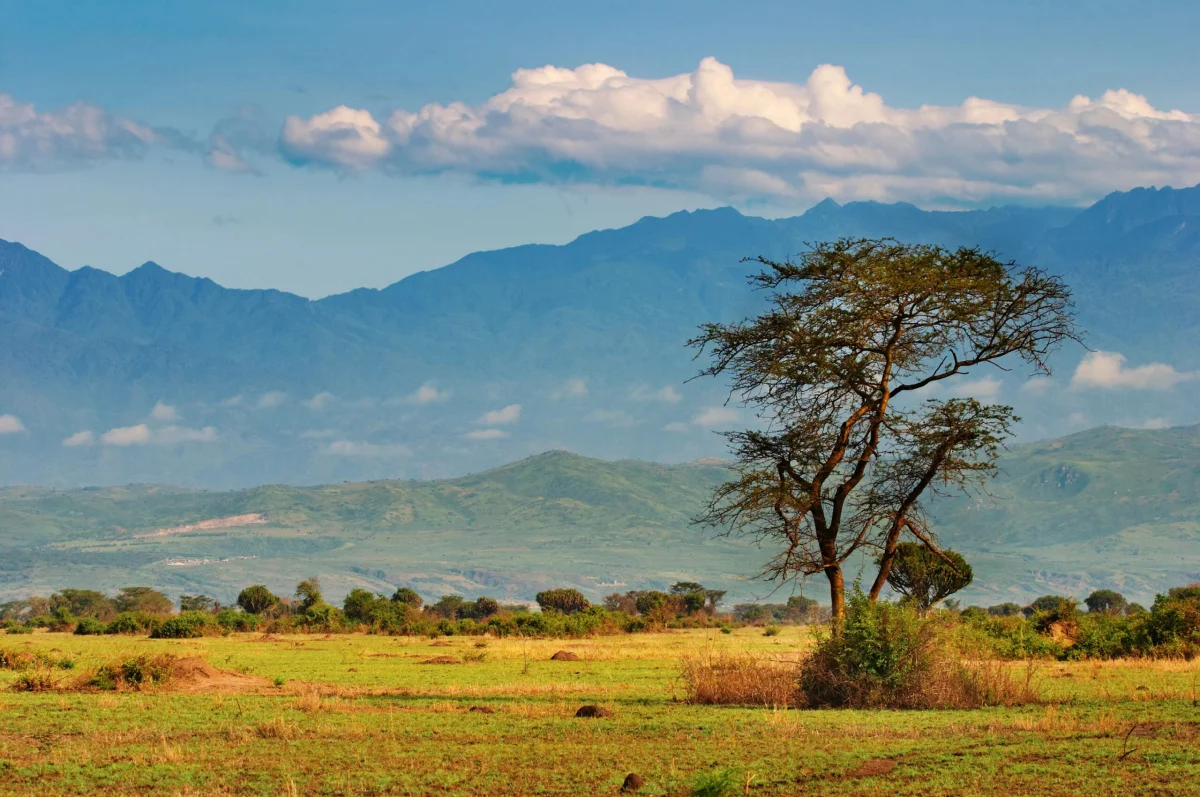 Fostering Local Investment in Uganda's Climate Finance Through MUBS Research