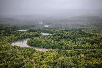 Indonesia Restricts Access to Forest Data Amid Rising Deforestation Concerns