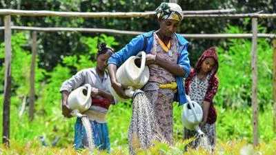 Ethiopia's Green Legacy Initiative: A Path to Reforestation Amidst Challenges