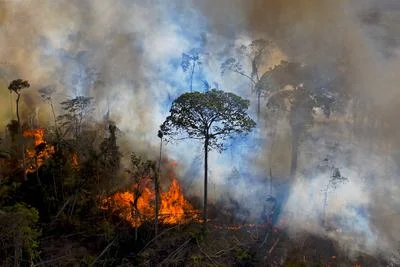 Impact of Natural Ecosystem Feedbacks on Climate Warming