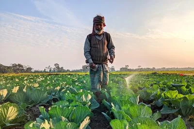 Study Reveals Alarming Rates of Pesticide Poisoning Among Farmers Worldwide