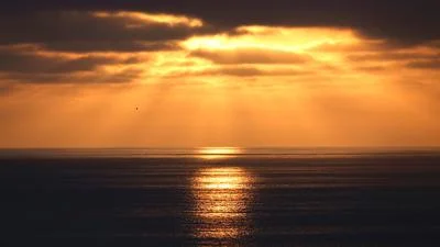 Marine Heat Waves Altering Ocean Ecosystems and Species Dynamics