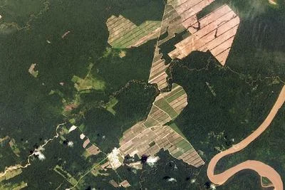Deforestation Dynamics: Brazil’s Progress and Bolivia’s Response
