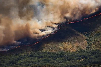 Climatic Extremes and Deforestation Drive Wildfires in France and Spain