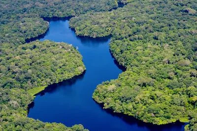 Significant Decline in Fires Marks Progress for the Brazilian Amazon