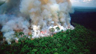 Understanding Nature's Contributions to Climate Emissions