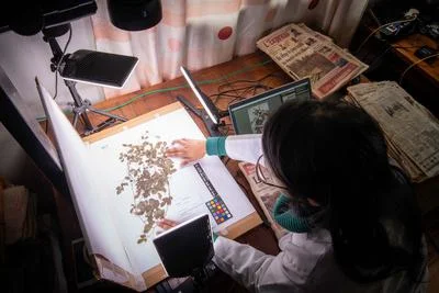 Harnessing Digital Innovation to Combat Plant and Fungi Extinction