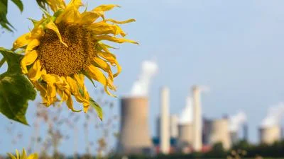 Impact of Pollution on Nature's Aromatic Landscape and Wildlife Communication