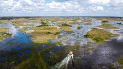 Revitalizing the Everglades: The Picayune Strand Restoration Project