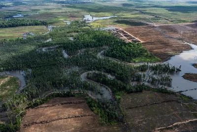 Indonesia's Shift Away from Large-Scale Deforestation Signals New Direction in Agriculture