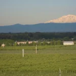 Reservoir Farms expands to Pacific Northwest to accelerate physical AI